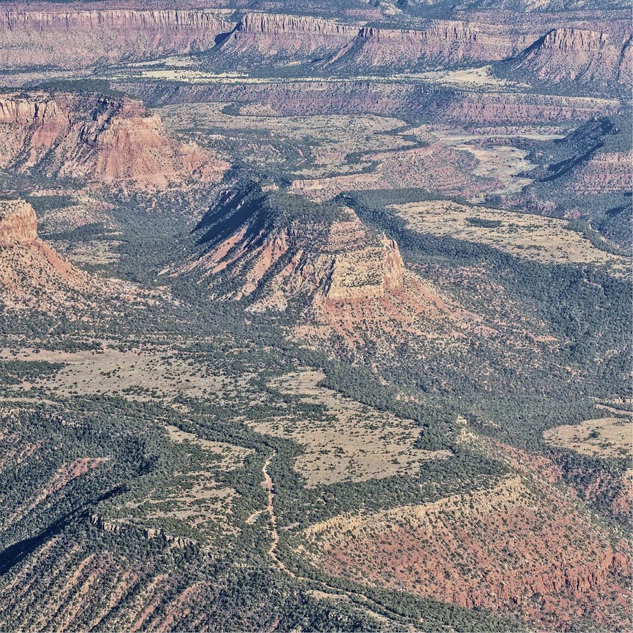 Seven Sisters Buttes Foreword Bears Ears and the Redemption of the Confounded - photo 5