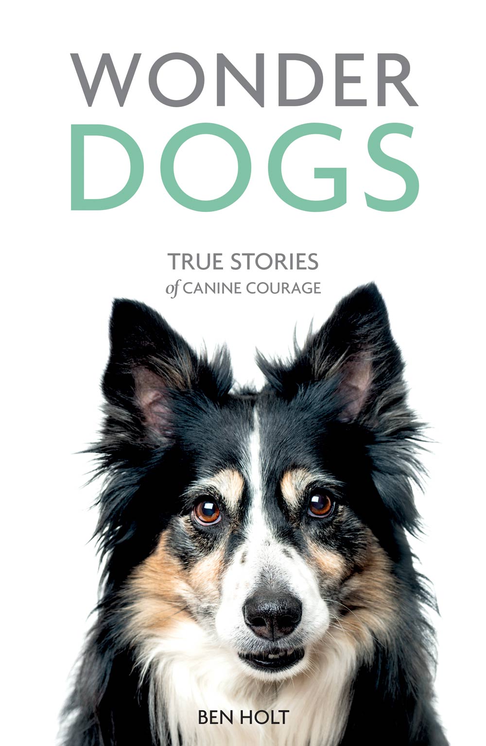 WONDER DOGS First published as Dog Heroes in 2009 This revised edition - photo 1