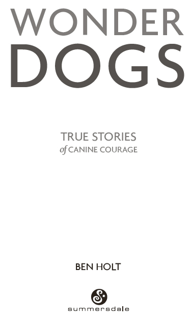 WONDER DOGS First published as Dog Heroes in 2009 This revised edition - photo 2