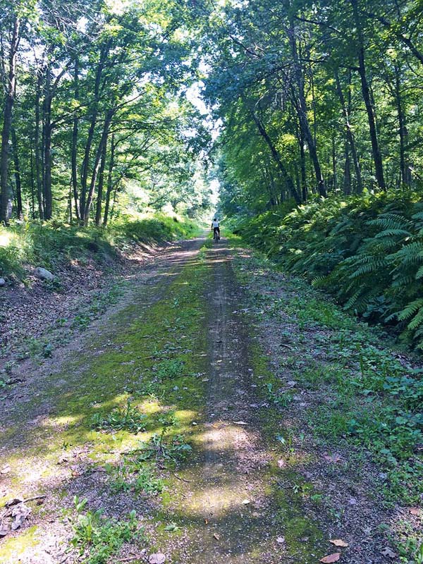 About Rails-to-Trails Conservancy H eadquartered in Washington DC - photo 4