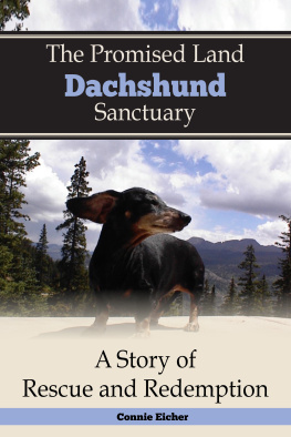 Connie Jean Eicher - The Promised Land Dachshund Sanctaury: A Story of Rescue and Redemption