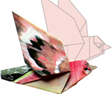 BIRD ORIGAMI By Seth Friedman Illustrated by Marcio Noguchi Text about birds by - photo 2