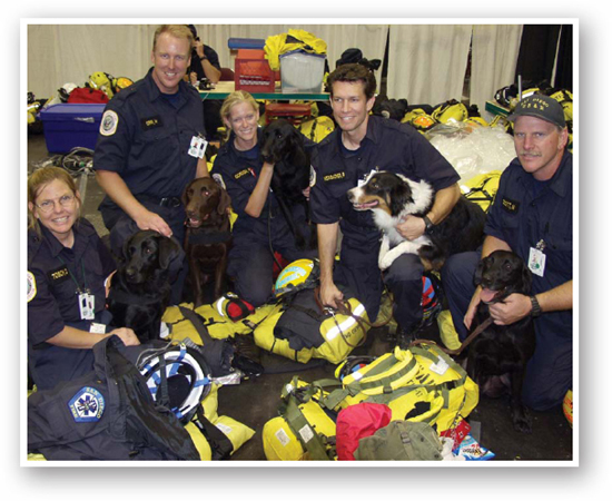 Search and Rescue Animals - image 1