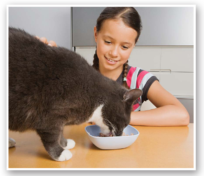 Pets depend on their owners for all their needs such as food proper housing - photo 4