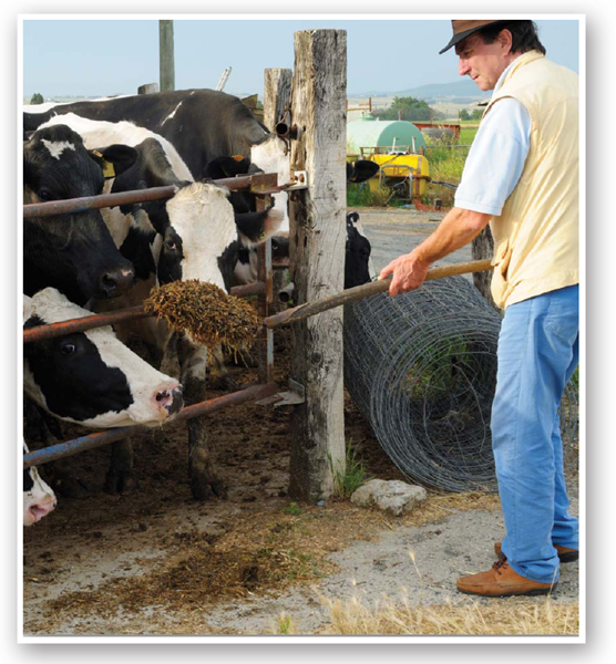 Farmers dont usually think of their animals as pets but they too work hard to - photo 5