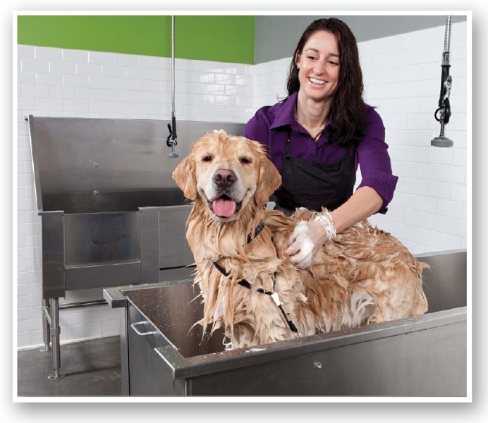 CAREER DETAILS To be a groomer you need a high school diploma Then you will - photo 8