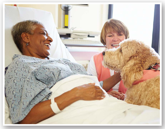 Companion and Therapy Animals - image 1