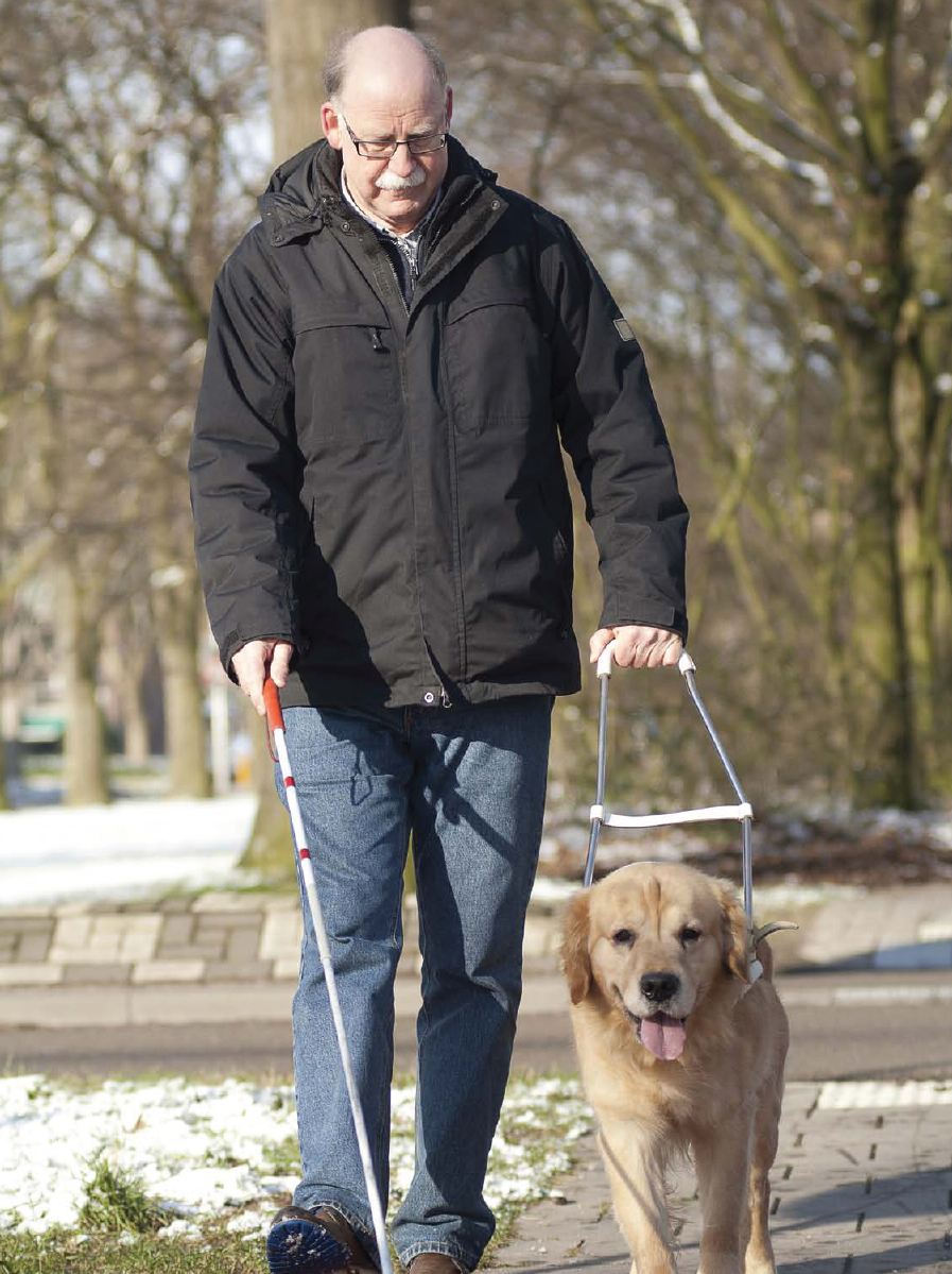 This service dog is wearing a special harness but it is important to realize - photo 11