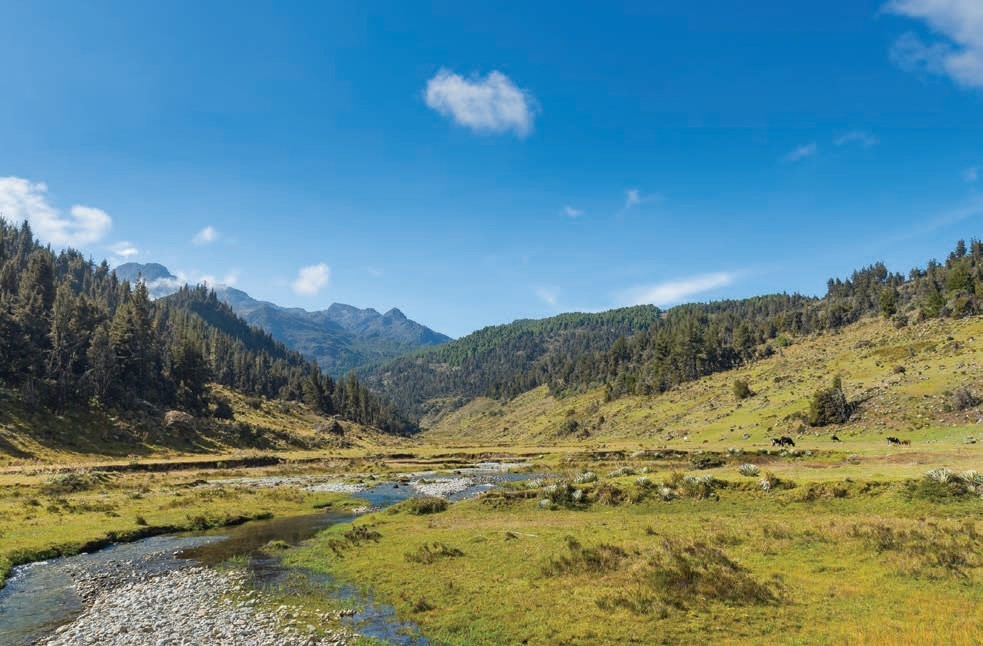 The Andes Mountains are a beautiful part of Venezuelas landscape - photo 3