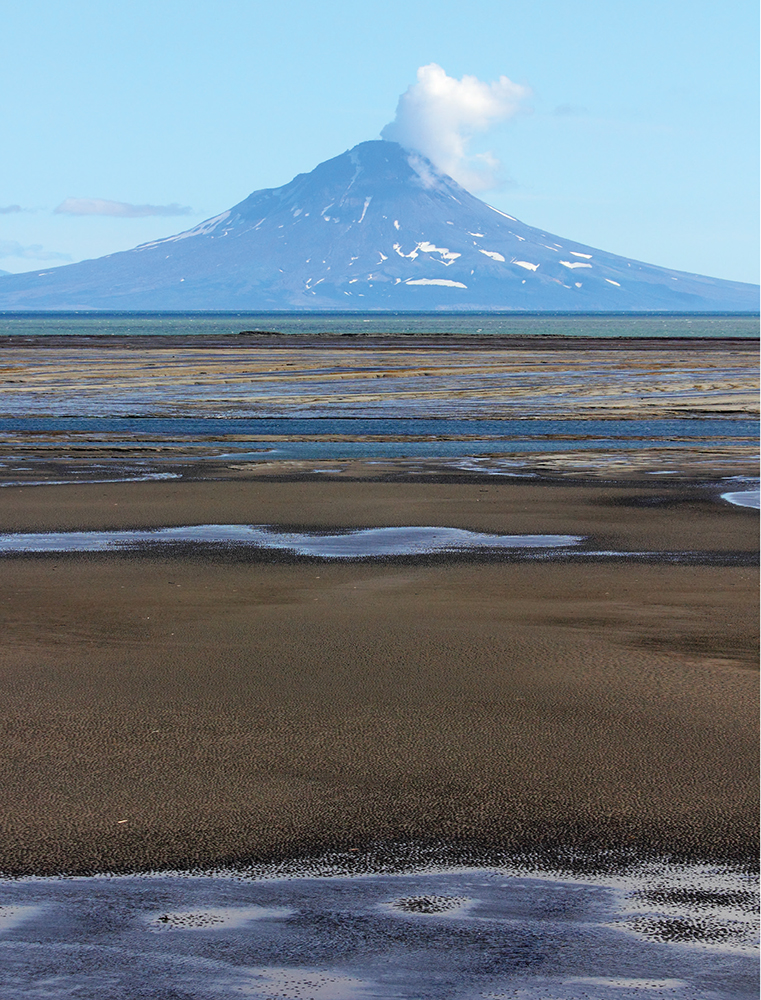 Mount Augustine puffs a cloud of steam across the Douglas River tide flats and - photo 15