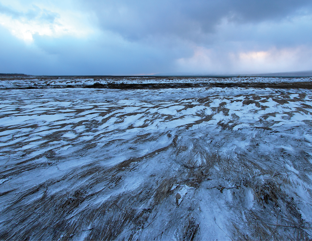 Slush slicks the tide flats on the south side of Kachemak Bay where we were - photo 4