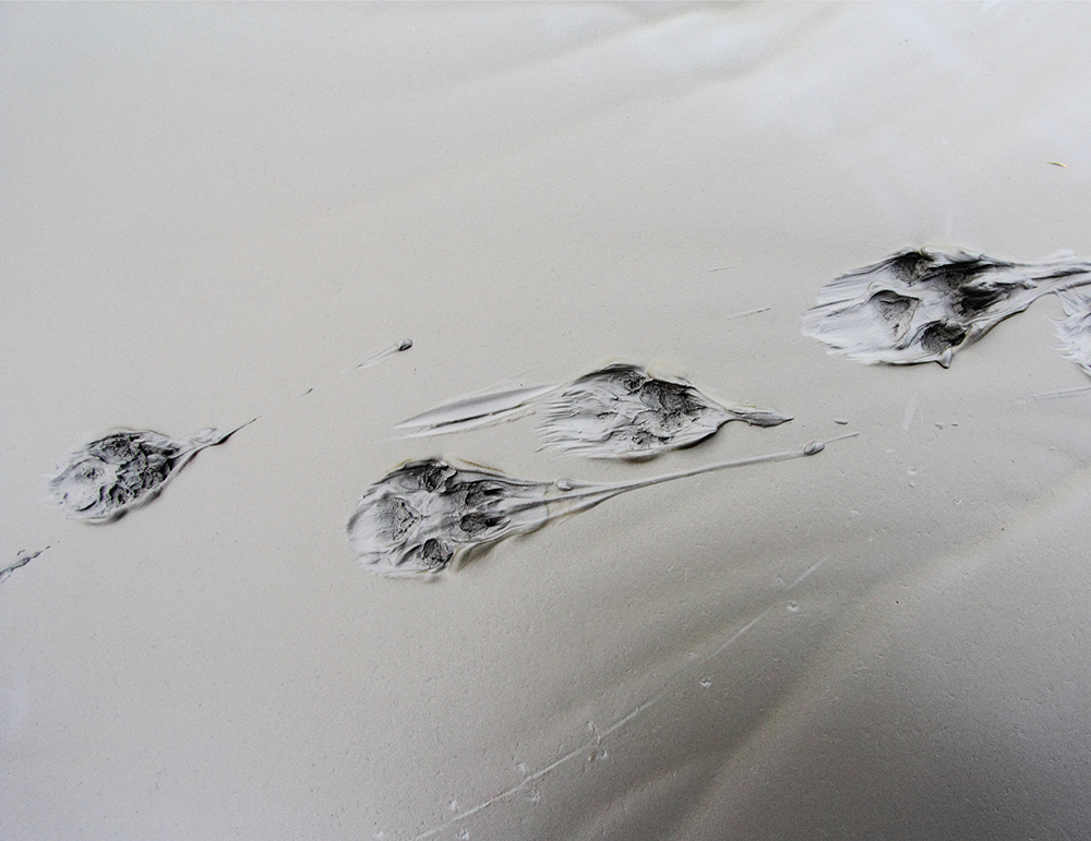 Coyote or fox tracks in the buttery mud of Turnagain Arm We take a - photo 5