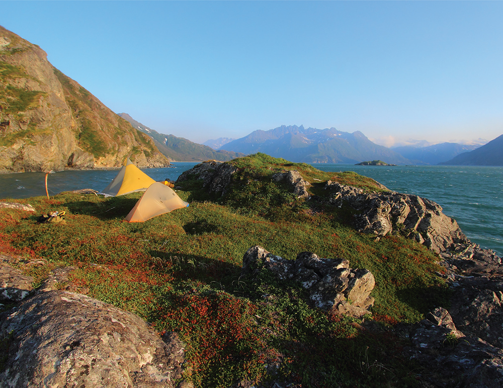 Nikis tent and our tent perch on a windy knob near Iliamna Bay A setnet - photo 10