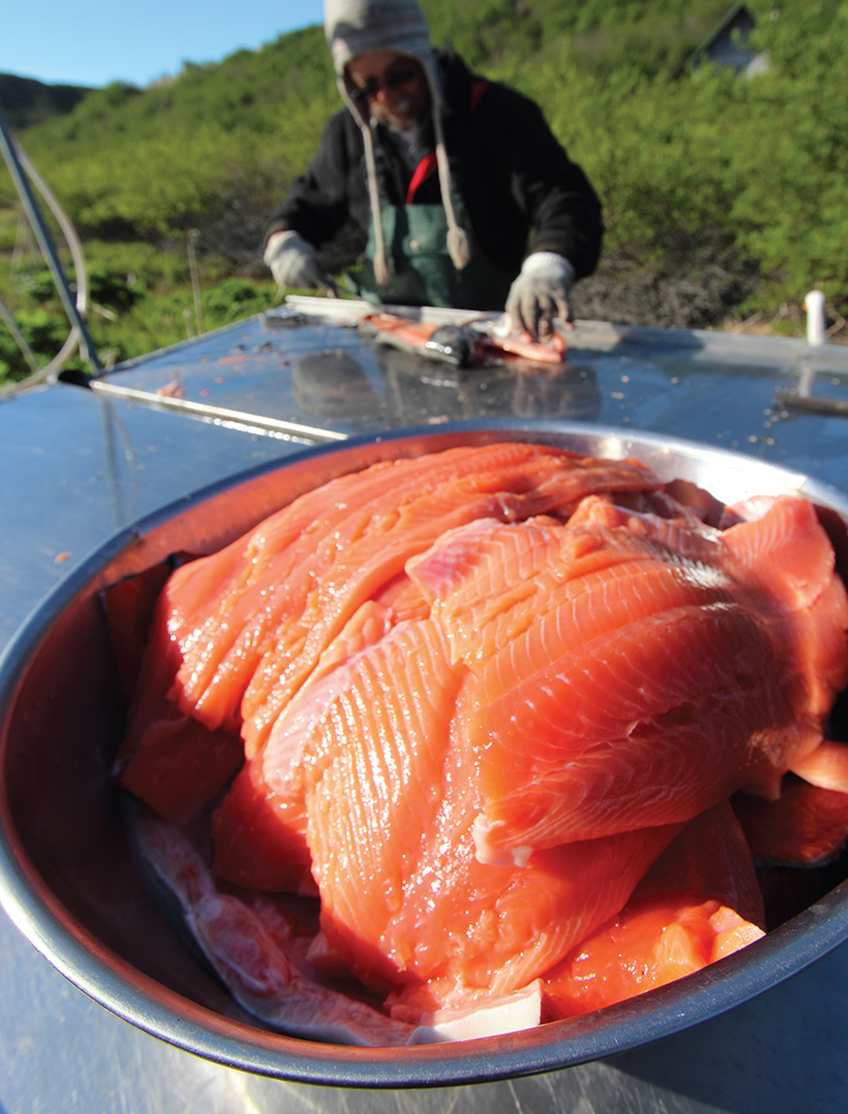 A setnet fisherman fills a bowl with fresh salmon filletssome for dinner some - photo 11