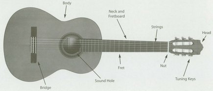 ELECTRIC PLAYING CHORDS Left-Hand Position Left-hand fingers are - photo 11