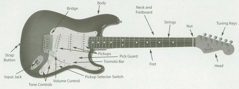 PLAYING CHORDS Left-Hand Position Left-hand fingers are numbered 1 through - photo 12