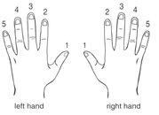 It is also important to note that fingers 1 through 4 may cross over or under - photo 6