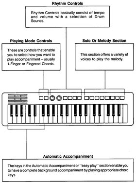 TYPICAL CONTROLS Specific voices and controls from the basic sections of an - photo 4