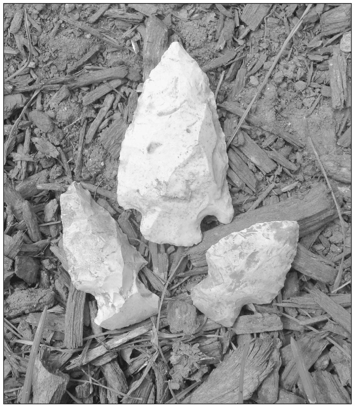 ARROWHEADS These arrowheads and others like them were discovered along the Fox - photo 3