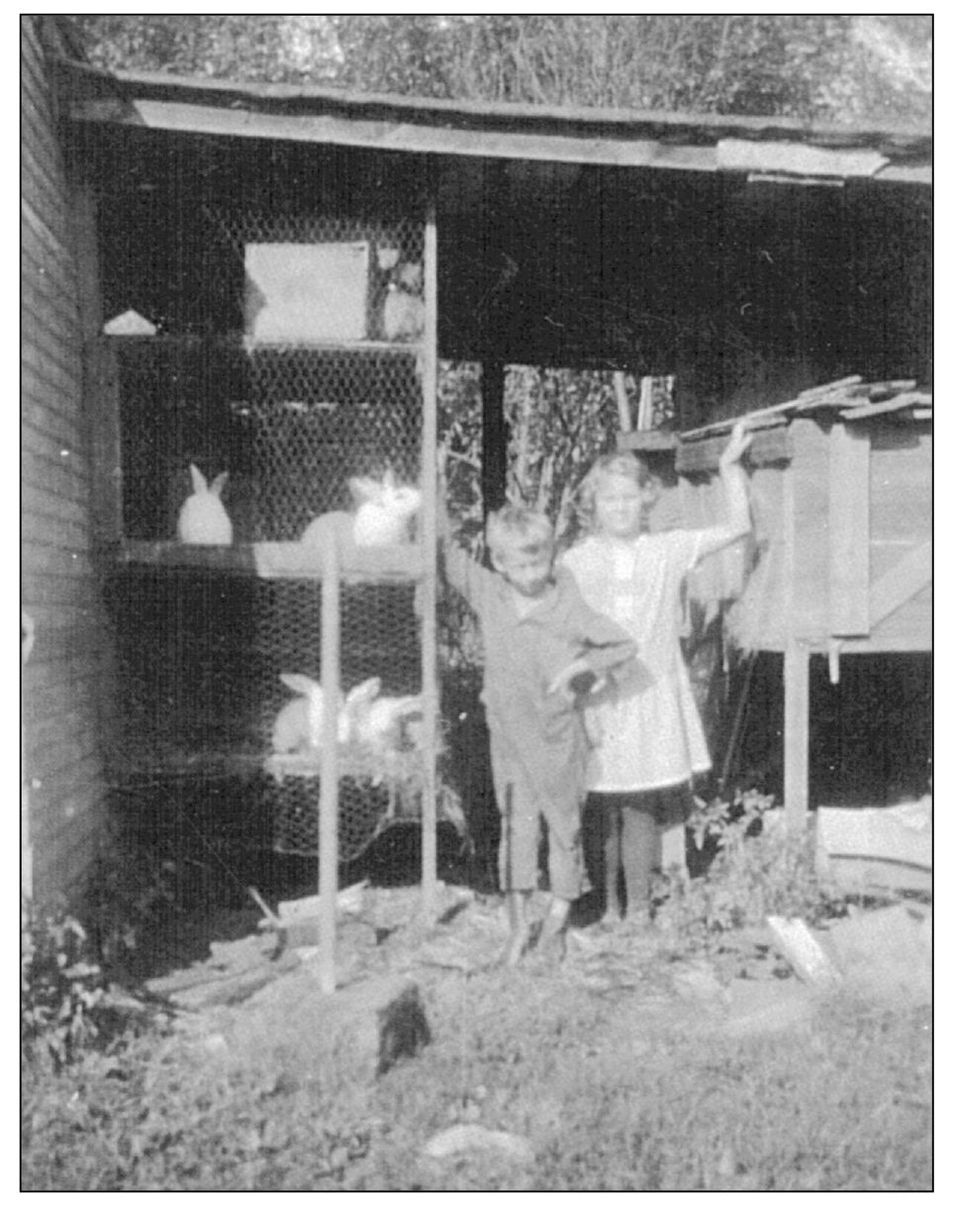 RAISING RABBITS By 1927 some people in Cary were raising rabbits Leonard and - photo 6