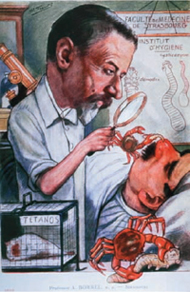 A cartoon of a 19th century cancer expert Dr A Borrel examining a patient - photo 2