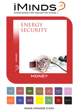 iMinds - Energy Security
