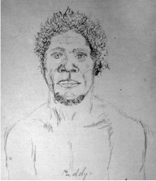 Paddy a head man of the Dalla sketched by Ludwig Leichhardt while he was - photo 5