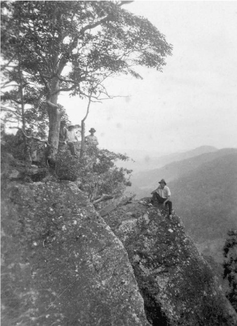 A rock gorge of the Blackall Range Kondalilla National Park 1924 SUNSHINE - photo 10