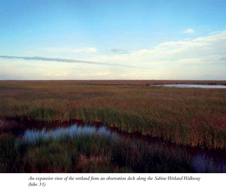 History The history of the Gulf Coast is a long oneover 180 million years - photo 4