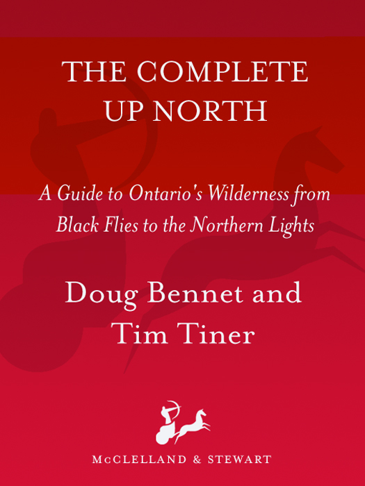 ALSO BY DOUG BENNET AND TIM TINER Up North Up North Again Wild City TABLE - photo 1