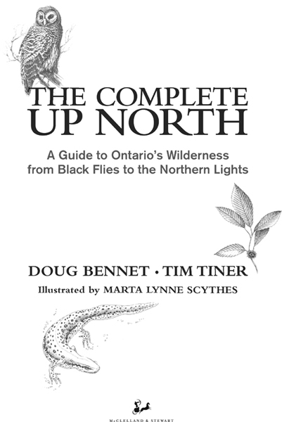 The Complete Up North A Guide to Ontarios Wilderness from Black Flies to the Northern Lights - image 2