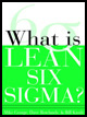 Lean Six Sigma An Introduction and Toolkit - image 2