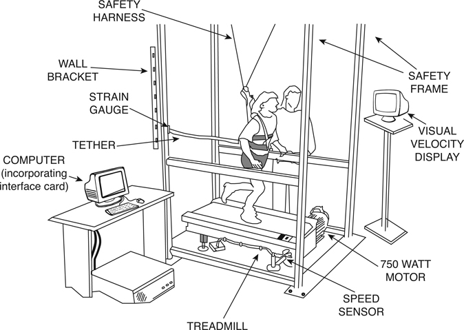 Exeter paediatric non-motorised treadmill test station The Childrens Health - photo 2