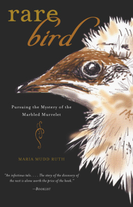 Maria Mudd Ruth - Rare Bird: Pursuing the Mystery of the Marbled Murrelet