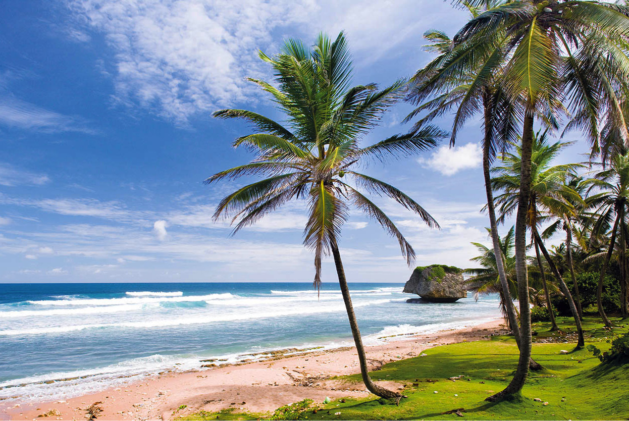 Top Attraction 7 Fotolia Surfers paradise Atlantic rollers at Bathsheba in - photo 10