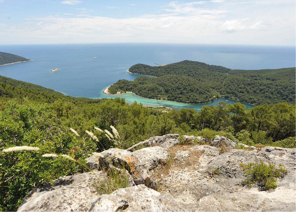 Back to nature Revel in the greenery of the National Park in Mljet Dominic - photo 5