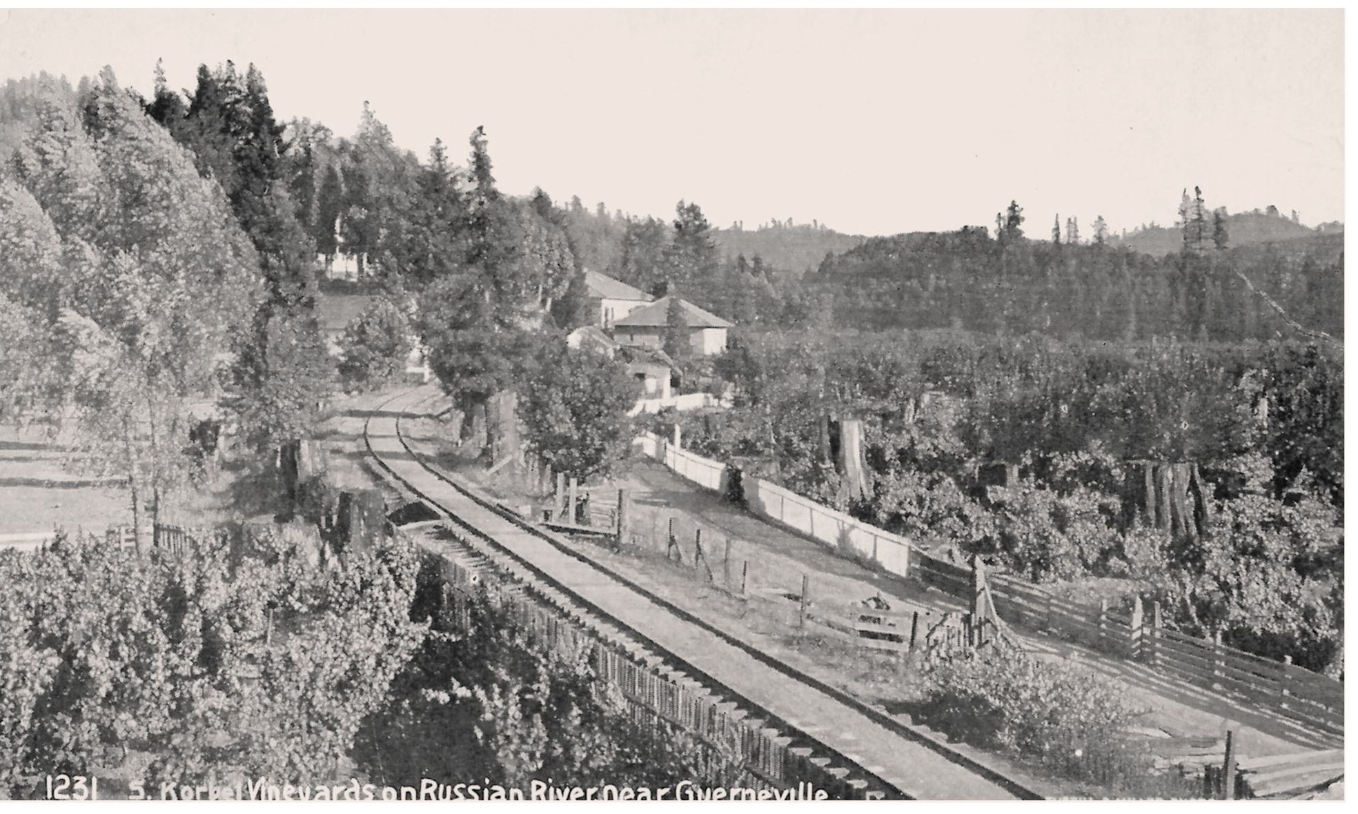 Looking east along the railroad tracksnow the site of River Road which closely - photo 8