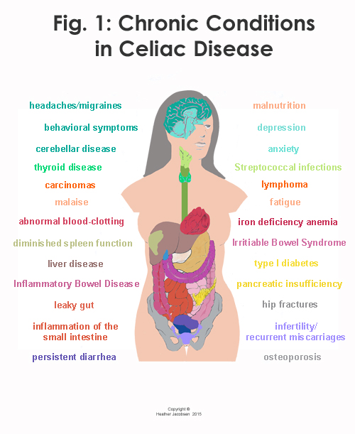 So itis of utmost importance that celiacs heal their guts This is - photo 2