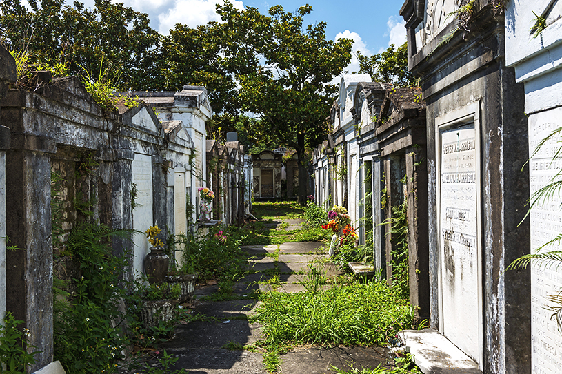 TIAGO LOPES FERNANDEZPEEK CREATIVE COLLECTIVE AGETTY IMAGES New Orleans Top - photo 6