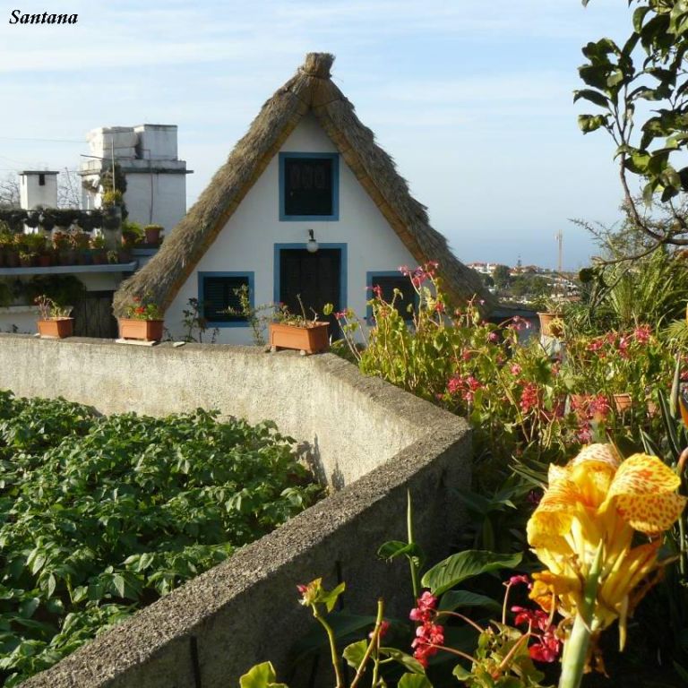 Madeira The Atlantic Orchid - photo 60