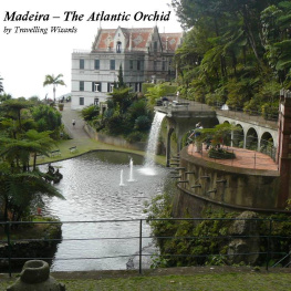 Travelling Wizards Madeira: The Atlantic Orchid