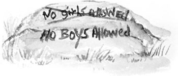 Spitefully we sprayed NO BOYS ALLOWED over their message in another color All - photo 4