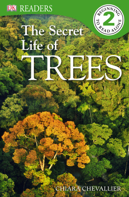 Chiara Chevallier - The Secret Life of Trees