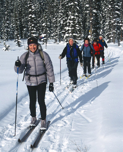 Seana Strain Karen Barkley Heather Walter Kathy Madill and Pat McCloskey ski - photo 4