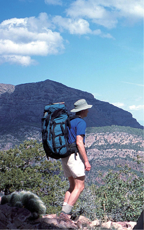 Pausing to take in the view from the Mazatzal Divide Trail - photo 4