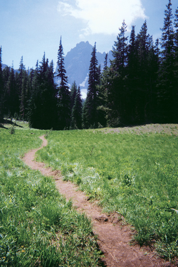 Nice mountain views on the Canyon Creek Meadows Trail Wilderness - photo 6