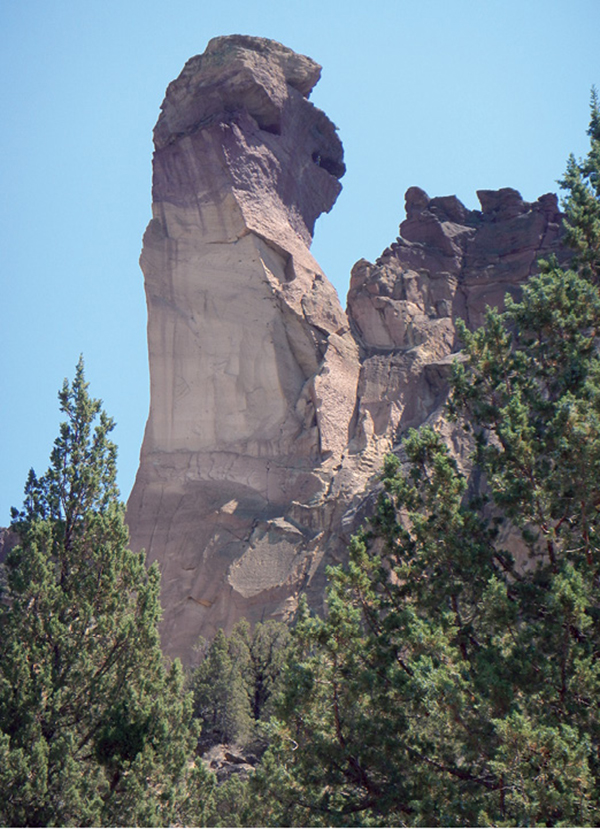 Monkey Face is a popular climbing route in Smith Rock State Park - photo 5