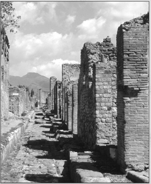 Ruins of the ancient city of Pompeii Also the word lava comes from Italy The - photo 6