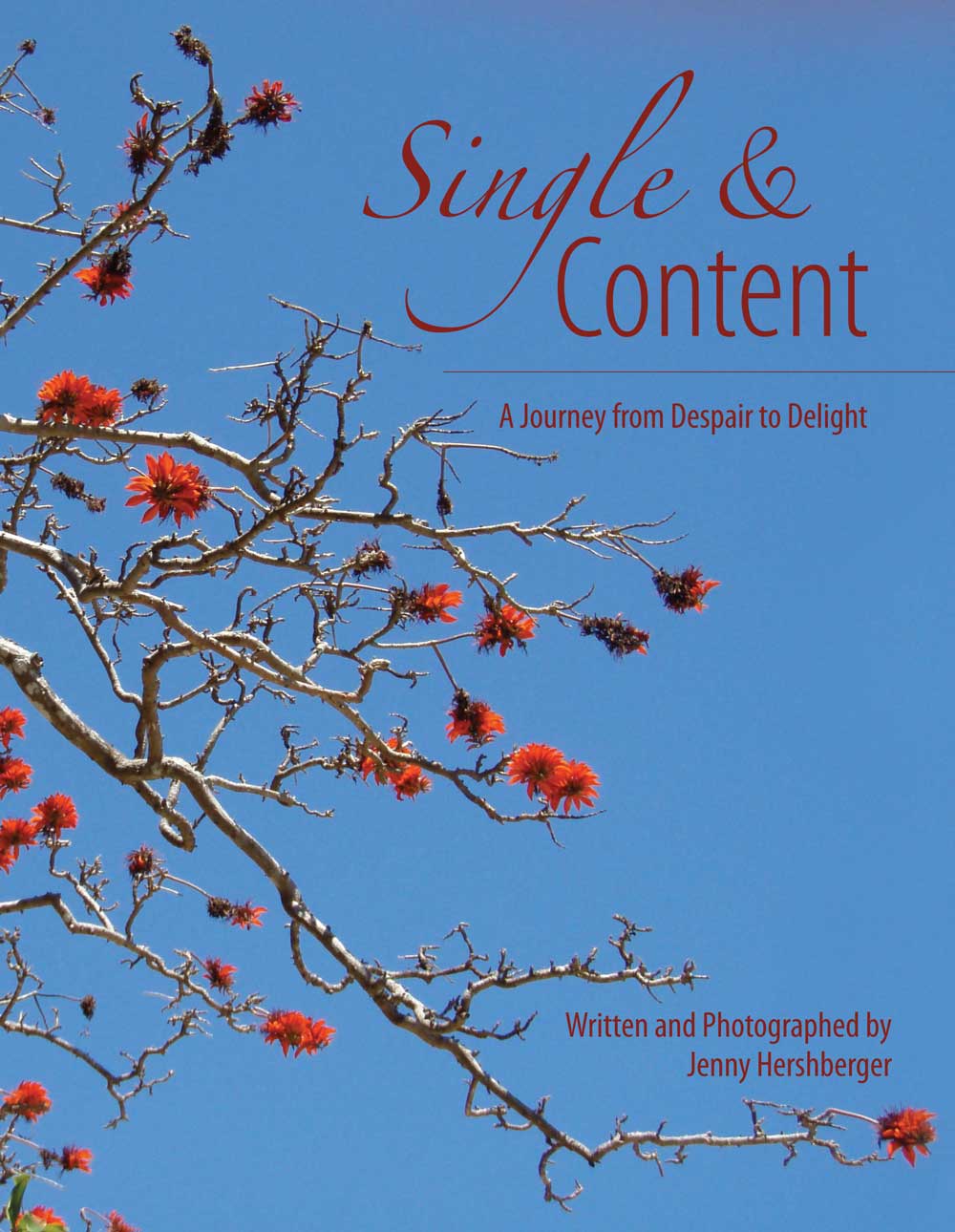 SINGLE AND CONTENT A Journey from Despair to Delight Text Copyright 2012 by - photo 3