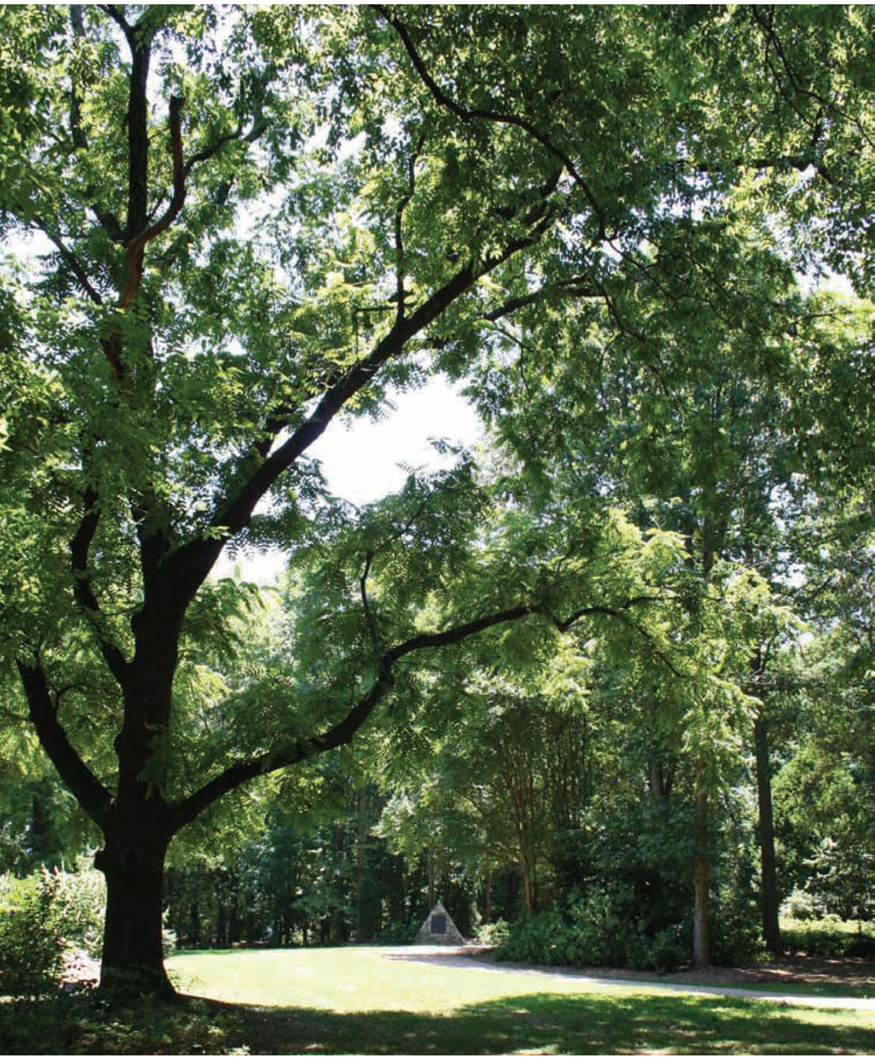 NEARLY 4 MILES OF TRAILS WIND ALONG THE LAKESHORE AND THROUGH THE FORMAL - photo 4